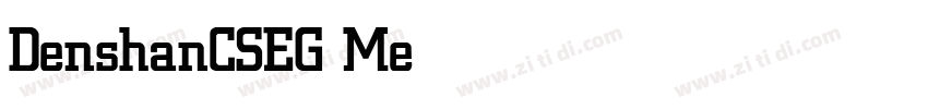 DenshanCSEG Medium字体转换